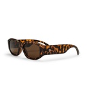 Chpo Brand sólgleraugu Brooklyn Turtle Brown