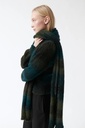 amt. Trefill Jade Scarf Green Gradient